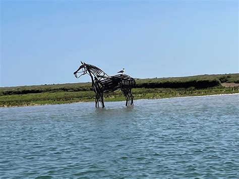 NORTH NORFOLK COASTAL DISCOVERY - All You Need to Know BEFORE You Go ...