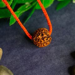 Nepali/Indian Rudraksha – Japam