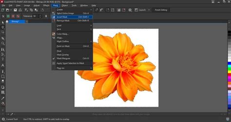 Image result for Remove Background in Corel