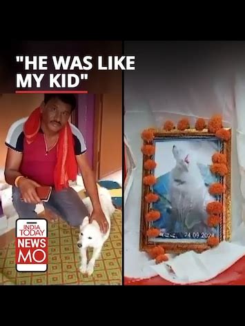 Does drinking Coca-Cola, Pepsi increase testicles size and testosterone ...