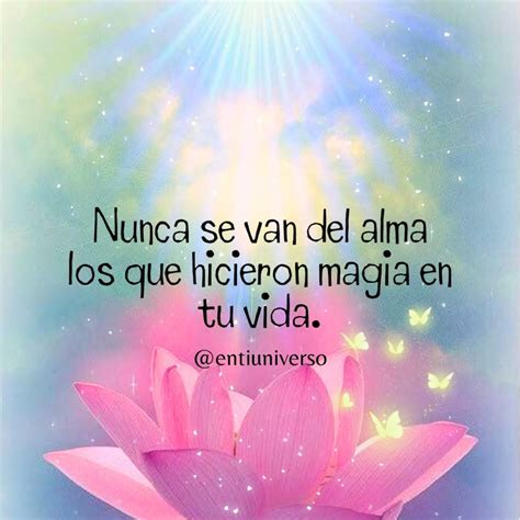 Image result for Reprogramate