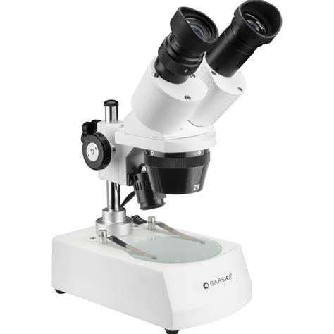 Stereo Microscope 的图像结果