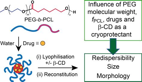 Influence of Lyophilization and Cryoprotection on the Stability and ...