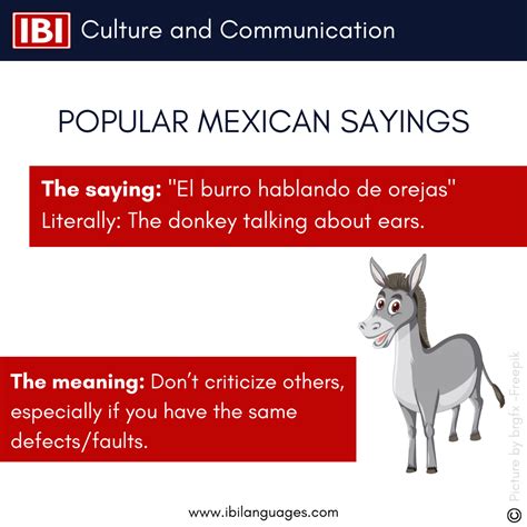 "The donkey talking about ears" - IBI Languages