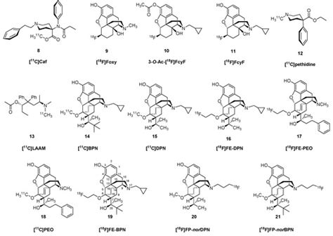 A Survey of Molecular Imaging of Opioid Receptors