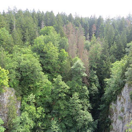 Moravia Trip (Brno) - 2022 What to Know Before You Go (with Photos ...