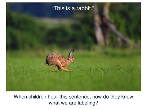 Learning Basic Words for Kids 的图像结果