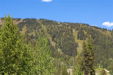 Moose Run Lodge - Airbnb