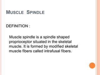 Spindle Def 的图像结果