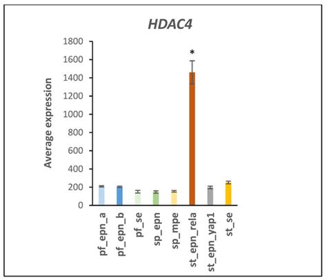 Ubiquitin Proteasome Gene Signatures in Ependymoma Molecular Subtypes
