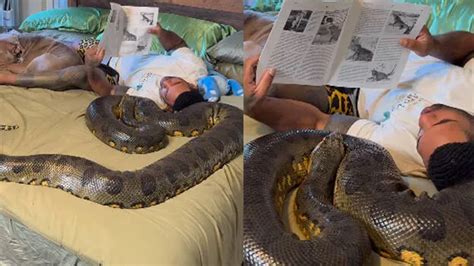 Snake on one side and pet dog on other; video of "Tarzann" reading book ...