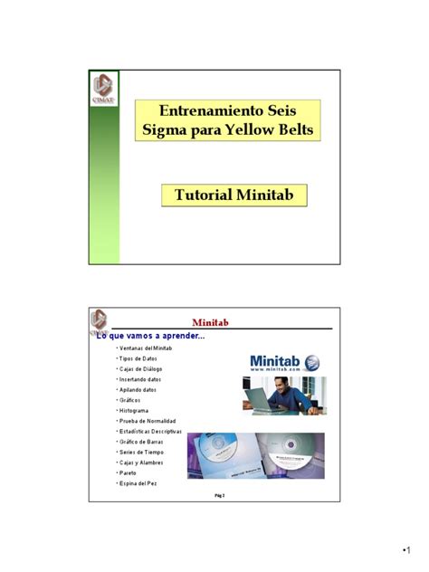 Minitab Basic Tutorial 的图像结果