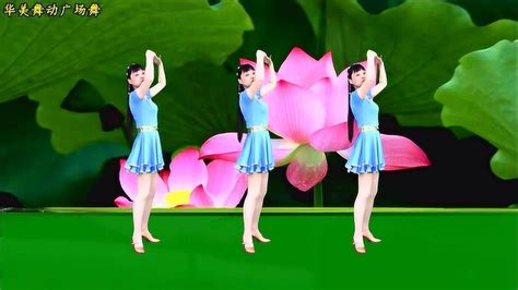 广场舞教学《泛水荷塘》简单优美抒情舞正背面动作送给你欣赏_腾讯视频
