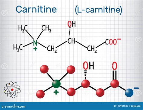 From What Amino Acid Is L-Carnitine Formed (Complete Name) at Hilda Connor blog
