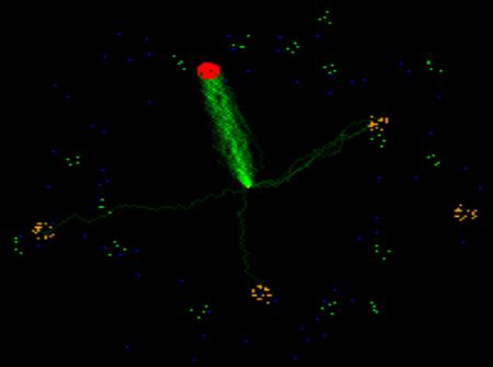 Image result for The Generalized Foraging Model