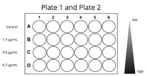 Image result for Concentration Gradient For Dummies