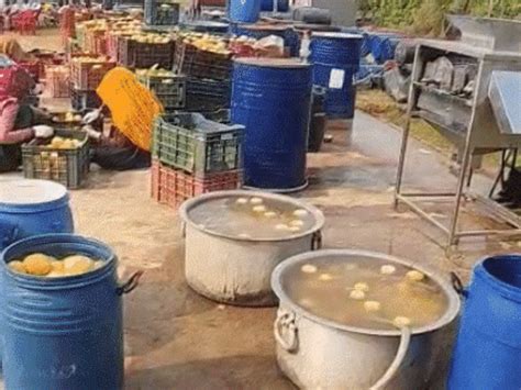 Europe-inspired idea turns spoiled guavas profitable: European-style ...