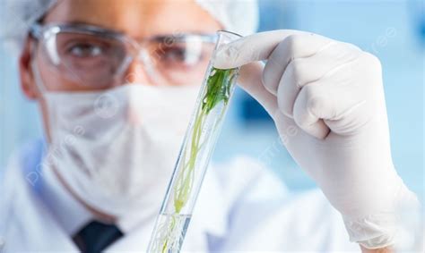 Biotechnology No Background 的图像结果