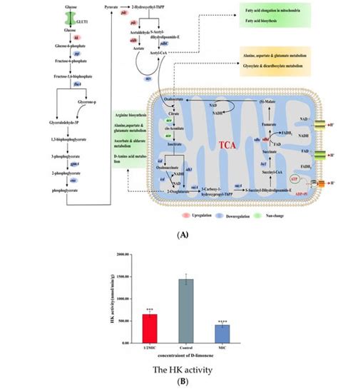 D-Limonene Inhibits Pichia kluyveri Y-11519 in Sichuan Pickles by ...