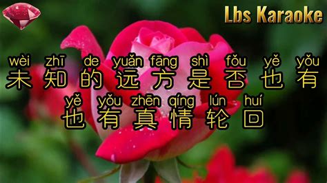 Yi Lu Xiang Bei ( 一路向北 ) MV Music Vocal