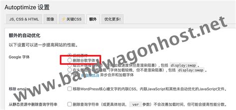WordPress 主题禁用谷歌字体优化网站访问速度的方法-Bandwagonhost中文网