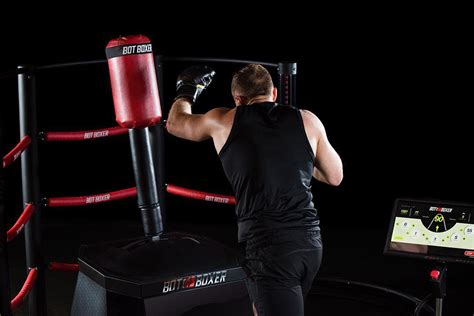 Boxer Bot Robot 的图像结果