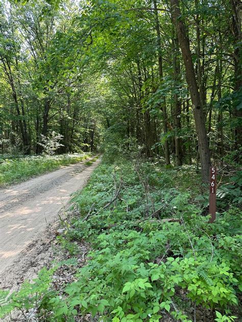 Trail 5461, Michigan - GPS Trail Map, Conditions & Difficulty | onX Offroad