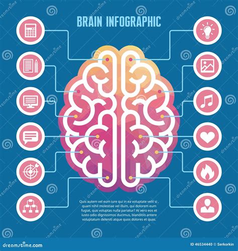Brain Infographic - Vector Concept Illustration with Icons. Left and ...