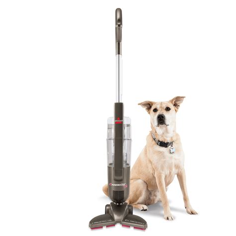 Trending Pet Floor Cleaner You’ll Love