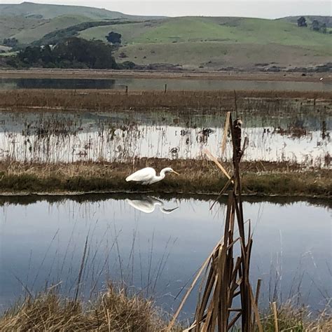 MOTEL INVERNESS - Motel Reviews & Photos - Tripadvisor