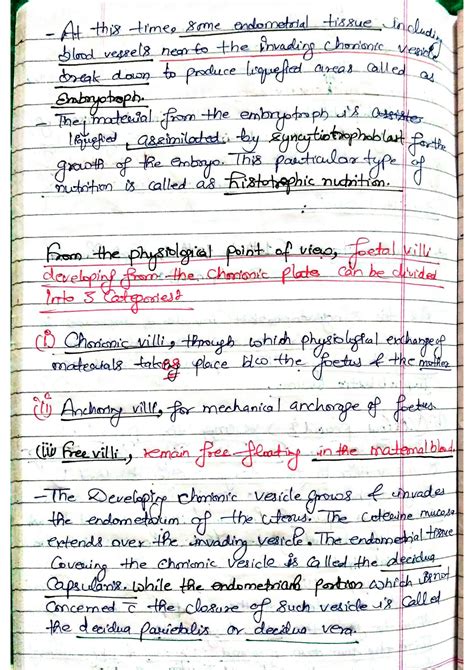 Placenta Development Notes Anatomy 的图像结果