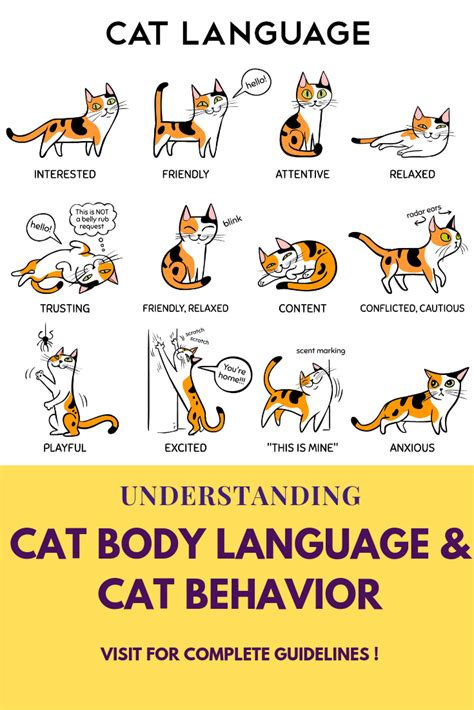 Image result for JavaScript Visual Guide