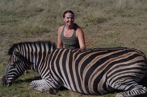 What Do Zebras Eat