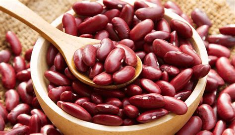 10 Zinc Rich Food You Must Include in Your Diet - lifeberrys.com