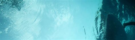 Whale Shark Encounter, Sumilon Sandbar, and Canyoneering in Kawasan ...