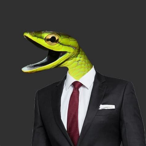 Image result for Python Tutorial Farsi Break and Continue