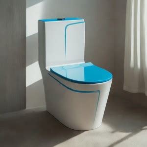 Aimniwell International Comfort Western Bathroom Commode / Commode with ...