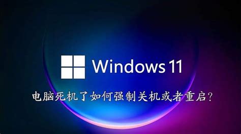 HD wallpaper: Microsoft Windows, Blue Screen of Death, Windows Errors ...