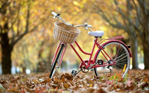 Cycle Wallpapers - Wallpaper Cave