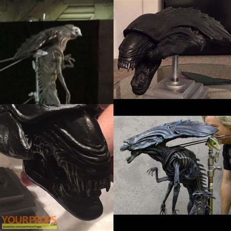 Image result for Alien vs Predator Head