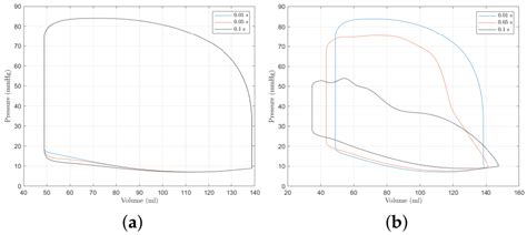 An Investigation of Left Ventricular Valve Disorders and the Mechano ...