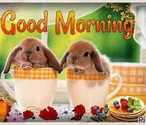 Image result for Bunny Rabbit Tea Cup