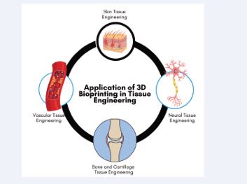 Bioengineering Examples 的图像结果