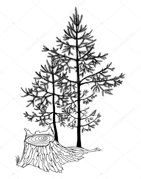 Image result for Realistic Tree Drawing Easy