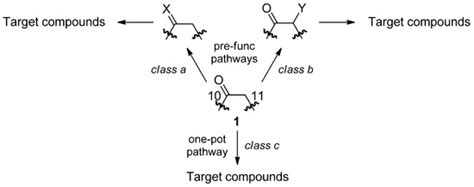 A Structurally Diverse Heterocyclic Library by Decoration of ...