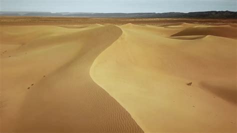 Types of Nose Bridges for Glasses- An Updated Guide for 2024