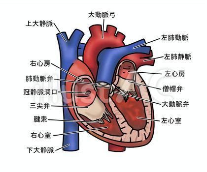 Image result for Tutorials File