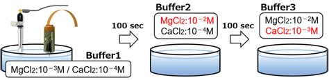 CMOS-Based Implantable Multi-Ion Image Sensor for Mg2+ Measurement in ...