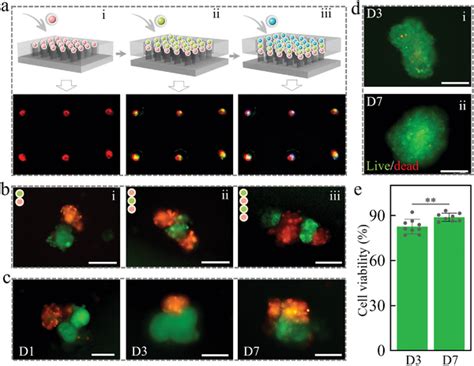 Image result for How to Program Cell Chip