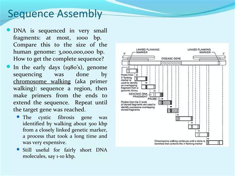 DNA Sequencing Methods 的图像结果